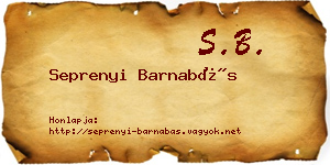 Seprenyi Barnabás névjegykártya
