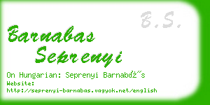 barnabas seprenyi business card